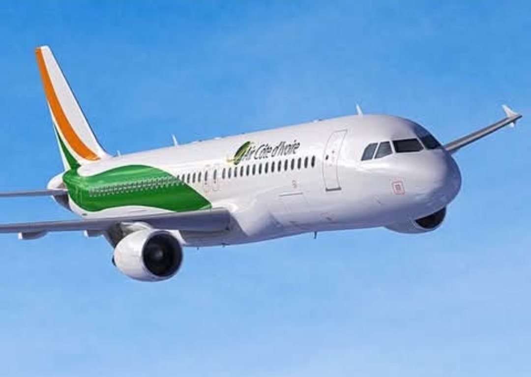 موريتانيا – النيجر: أصيبت طائرة إيفوارية إثر الهجوم على المطار ليلة 28-29 يناير